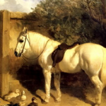 Budd family Hampshire, Yeoman farmer on horse such as this