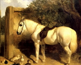 Budd family Hampshire, Yeoman farmer on horse such as this